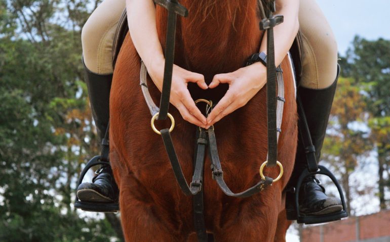 pexels-raquel-elise-de-moraes-111613202-9701113